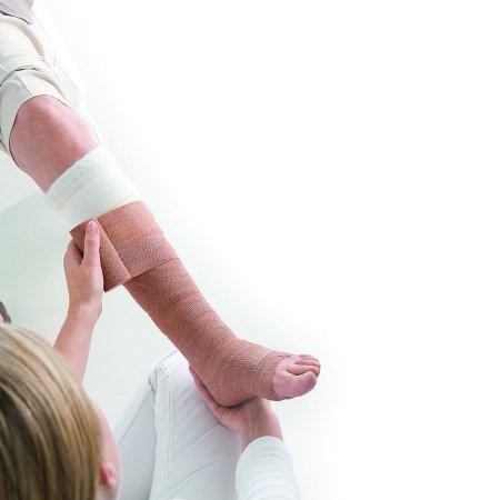 1011775_ls 1011775_ls