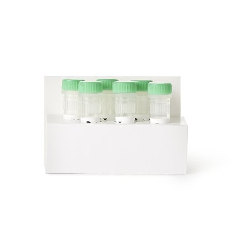 1081152_front 1081152_front