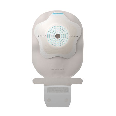 1124337_back 1124337_back