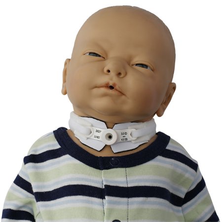 1137105_pdet 1137105_pdet