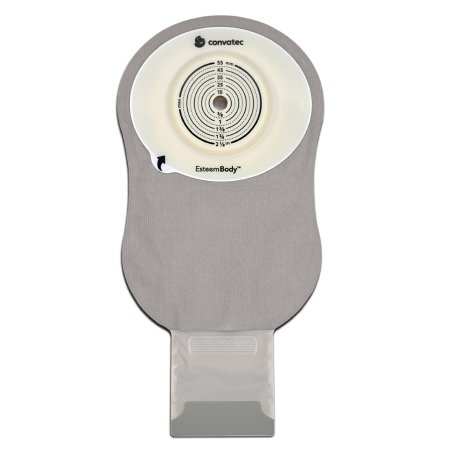 1243484_back 1243484_back