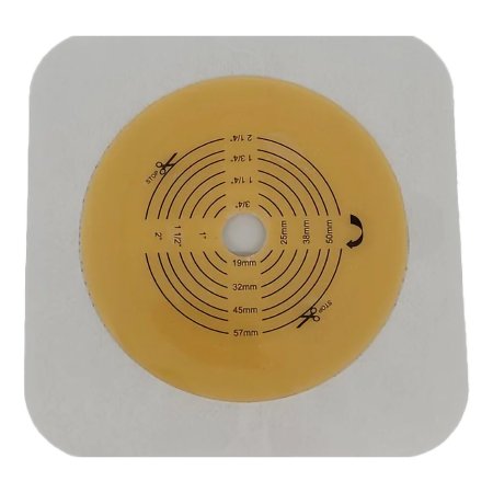 1244000_back 1244000_back