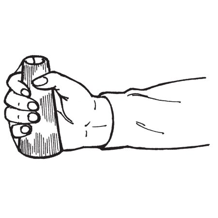 183245_plineart 183245_plineart