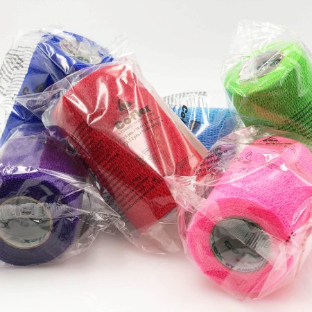 364600_family2 364600_family2