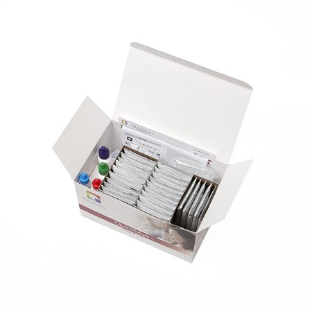 447290_pkgopen 447290_pkgopen