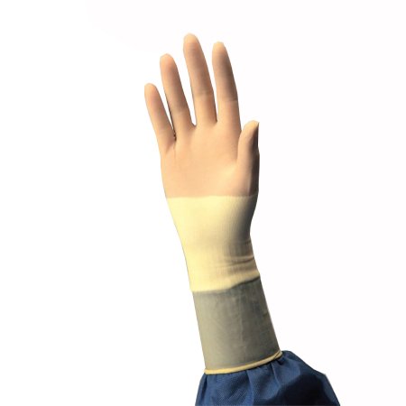 806828_back 806828_back